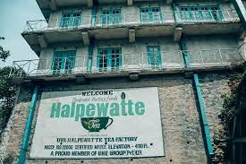 Halpewatte Tea Factory Entrance